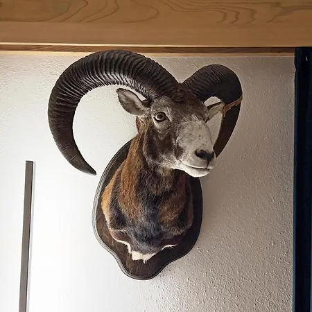 Cresta Jagd, Holz, Aussicht, Parkplatz - Sb28 Daire