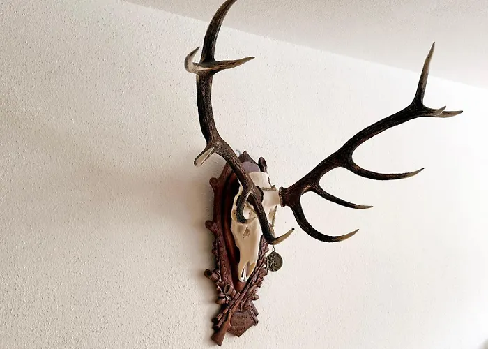 Cresta Jagd, Holz, Aussicht, Parkplatz - Sb28 شقة سانت موريتز