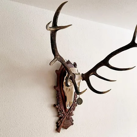 Cresta Jagd, Holz, Aussicht, Parkplatz - Sb28 Daire Saint-Moritz